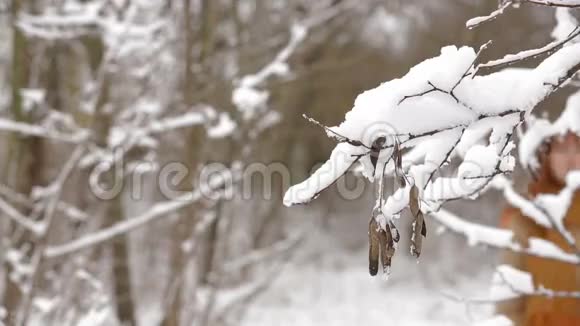 在冬季森林里散步的漂亮女孩视频的预览图