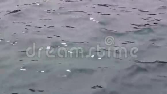水面海洋湖泊河流海浪视频的预览图