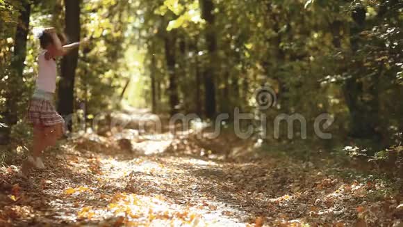 黄色秋林里的小女孩美丽的阳光小女孩在秋天的森林自然景观中散步视频的预览图