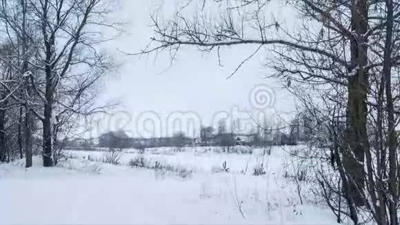 混林中的雪道循环潘潘视频的预览图