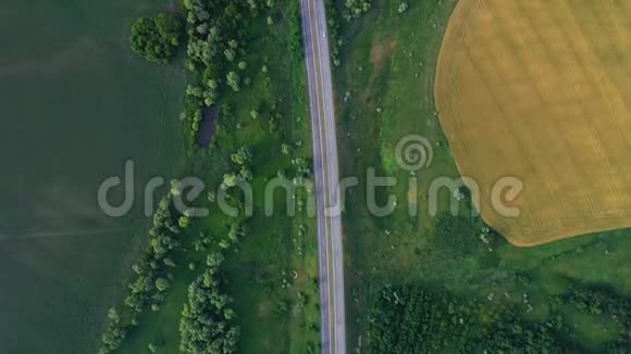 初夏绿色的田野和道路视频的预览图