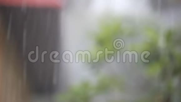 在苏梅岛上的雨林中的平房在热带倾盆大雨中雨声和变化的焦点视频的预览图