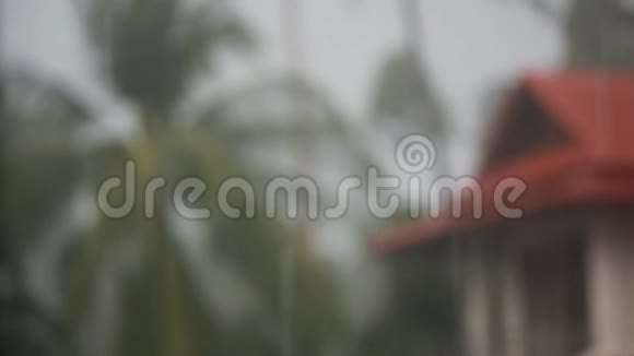 平房在苏梅岛上的雨林中在热带倾盆大雨的变化中房子的焦点1920x1080视频的预览图