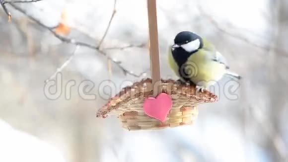 鸟儿从篮子里啄种子在那里贴着红心有选择的焦点视频的预览图