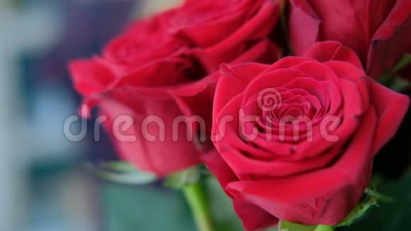 花束中的红玫瑰在室内站立视频的预览图