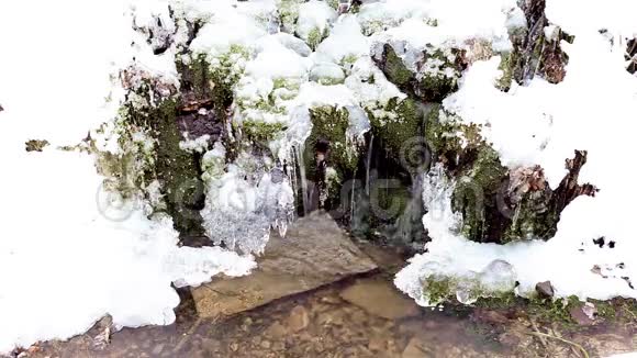 瓦隆阿丹尼斯白雪覆盖的树木视频的预览图