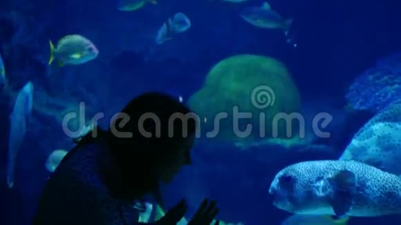水族馆里的女人在看一条异国情调的美丽的鱼3840x2160视频的预览图
