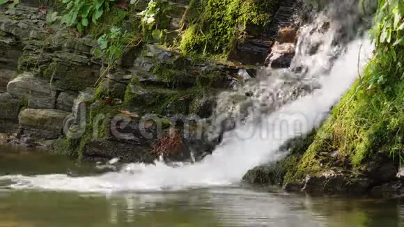 夏日森林中的史诗般的瀑布山溪自然背景视频的预览图