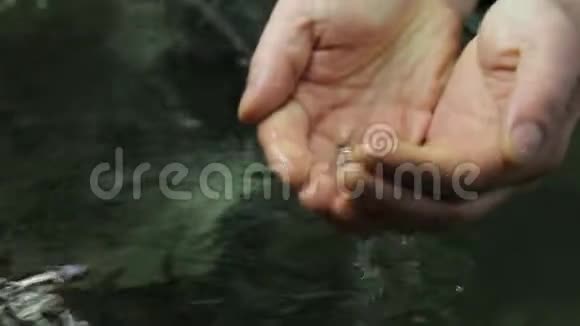 一只小鲟鱼在养鱼场视频的预览图