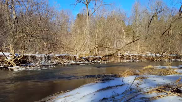 冬天的雪岸河冰冷的水随着河边的雪流过周围是美丽的树木视频的预览图