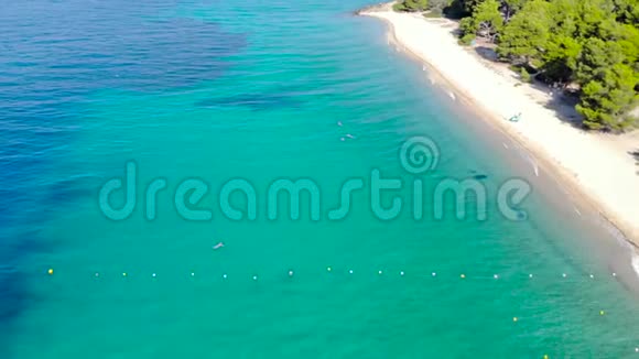 空中无人机在沙滩上看到蓝色的海面周围是树木透明绿松石海洋水面的俯视图视频的预览图