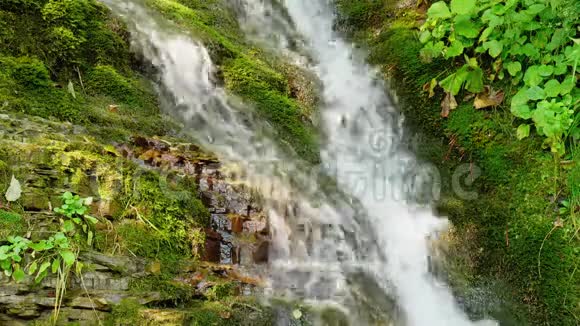 夏日森林中的史诗般的瀑布山溪自然背景视频的预览图