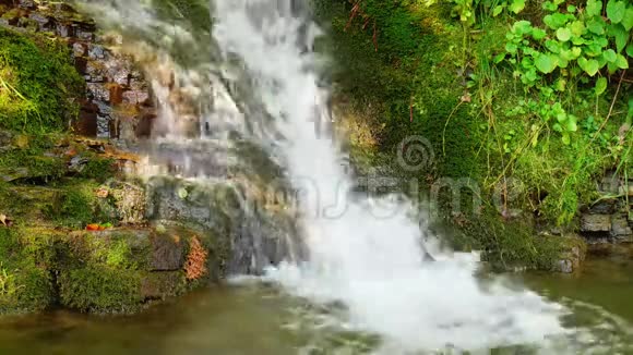 夏日森林中的史诗般的瀑布流流流视频的预览图