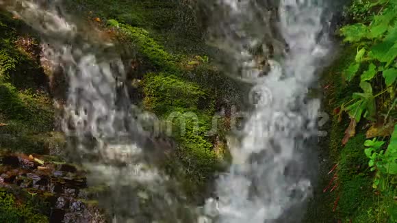 夏日森林中的史诗般的瀑布流流流视频的预览图