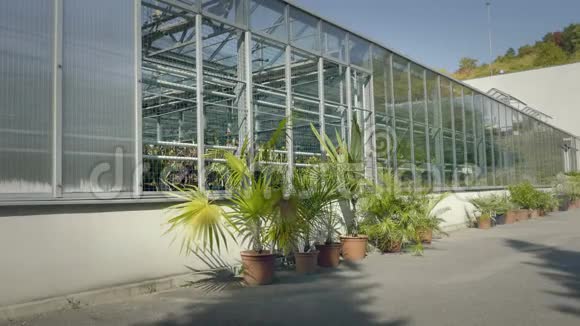 大温室有玻璃墙基础山墙屋顶花园床视频的预览图