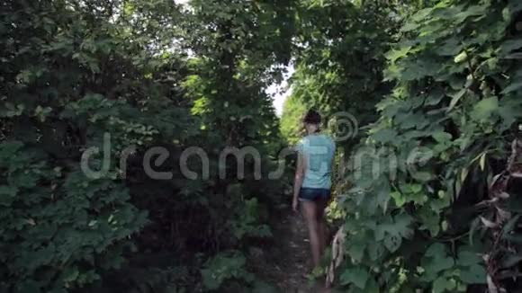 徒步穿越热带雨林的女人年轻女性徒步穿越雨林徒步旅行的后景视频的预览图
