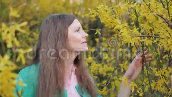 美丽的女孩在黄色的花朵中春天的树抚摸着花朵嗅着花朵视频的预览图