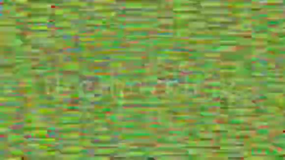 电脑产生的抽象镜头全息不良电视效果视频的预览图