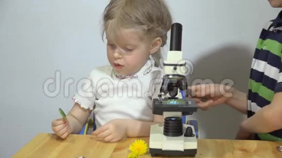 孩子们在显微镜下研究白色墙壁旁边的木桌上的植物视频的预览图