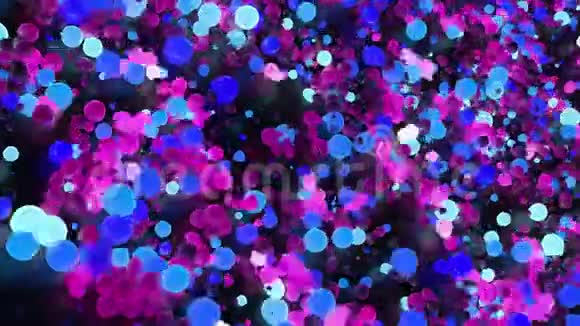 蓝色和粉红色的球背景抽象的化学反应青色的洋红圈诞生了它们长大了消失了视频的预览图
