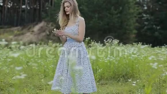 美丽的女孩带着一束甘菊花在田野里走来走去视频的预览图