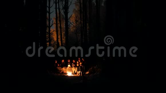 冬天森林里的年轻人晚上坐在炉火旁视频的预览图