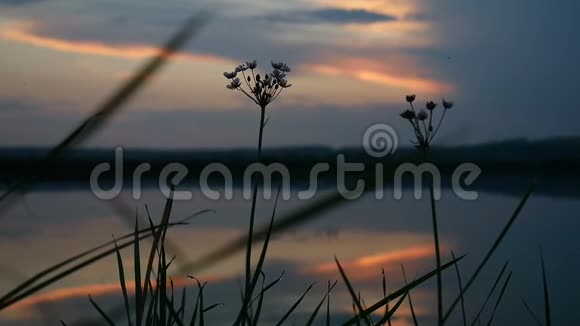 日落自然户外湖滨景观冬季视频的预览图
