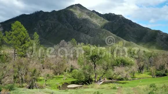 美丽的风景有山树和牲畜在田野上觅食3840x2160视频的预览图