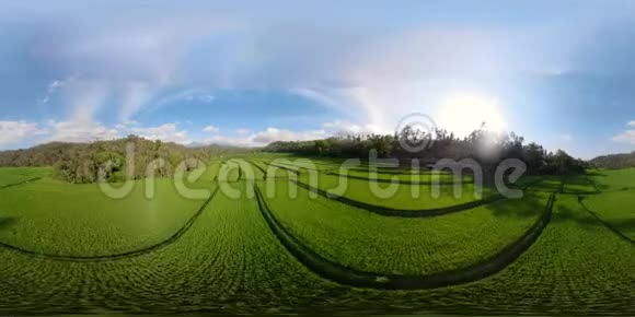 印尼水稻梯田vr360视频的预览图