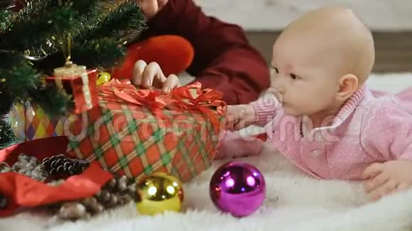新生儿探索圣诞树视频的预览图