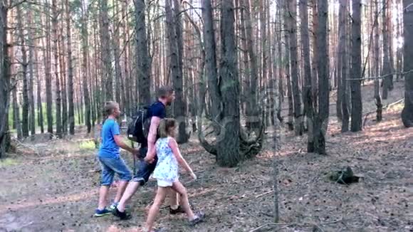 父亲和儿子女儿在森林里散步视频的预览图