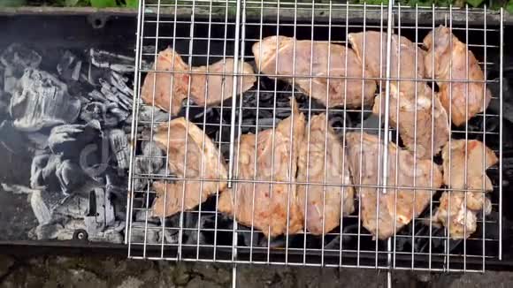 布拉齐尔的煤烤架上的肉肉是在煤上炒的在煤上烤肉猪肉视频的预览图