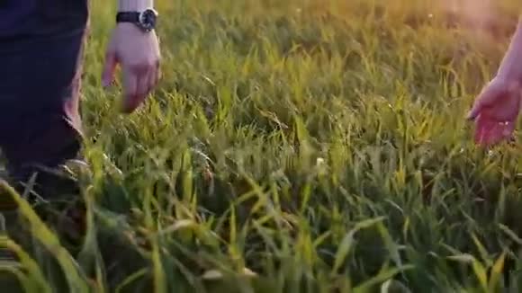 亲密的情侣牵着对方的手男人和女人走在长长的草地上牵着手慢莫稳定射击视频的预览图
