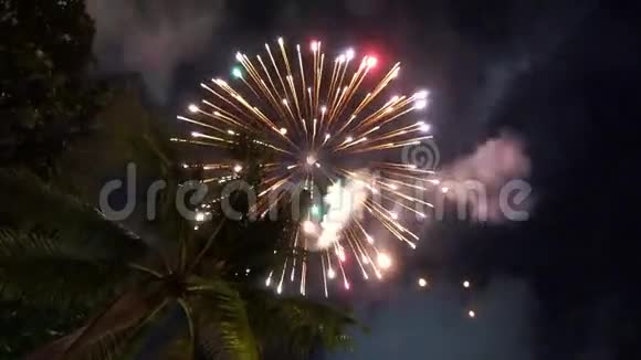 新年热带岛屿上的烟火视频的预览图