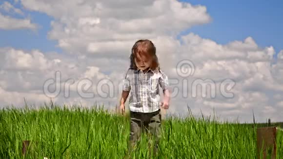 可爱的男孩在绿色草地上跳跃视频的预览图