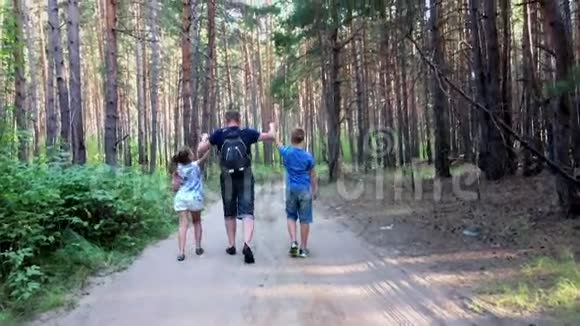 父亲和儿子女儿在森林里散步视频的预览图