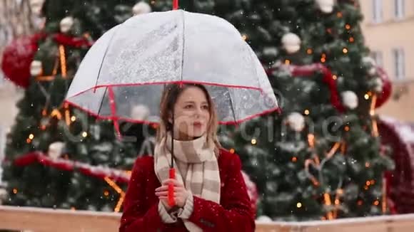 漂亮的成年女孩穿着红色外套带着带伞的围巾视频的预览图