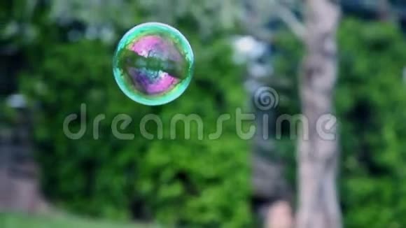 绿色草坪上的肥皂泡视频的预览图