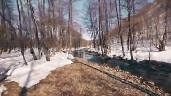 俄罗斯巴什科尔托斯坦的春天森林视频的预览图
