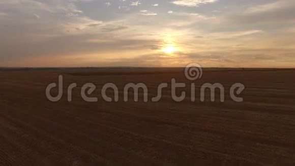 空中移动到倾斜麦田上方的日落4K视频的预览图