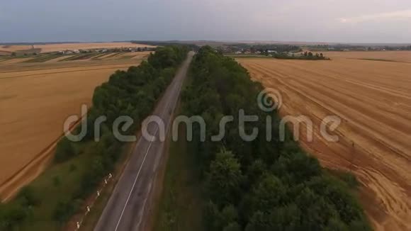在麦田之间的森林道路上行驶的汽车的鸟瞰图4K视频的预览图