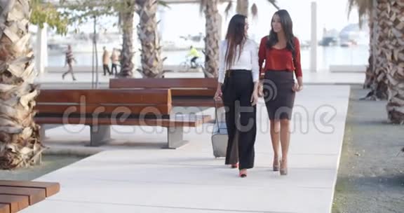 两个时髦优雅的女人走在一起视频的预览图