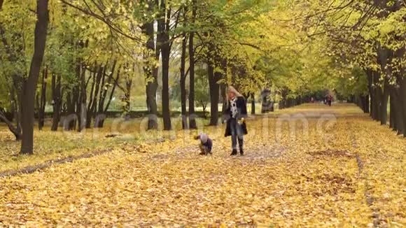 母子在秋天公园散步视频的预览图