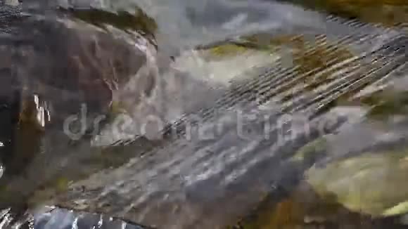 清澈的水流在小溪或河流中荡漾视频的预览图