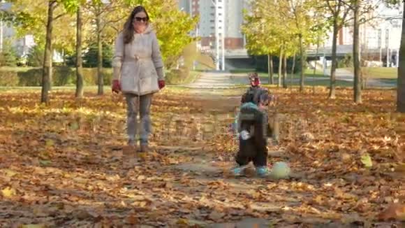美丽的宝贝正在秋天公园和妈妈一起玩关于落叶的游戏小孩玩白色足球视频的预览图