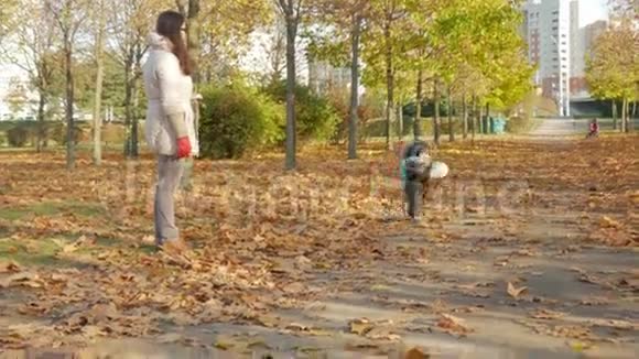美丽的宝贝正在秋天公园和妈妈一起玩关于落叶的游戏小孩玩白色足球视频的预览图