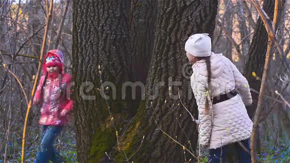 森林里的女孩围着树跑视频的预览图