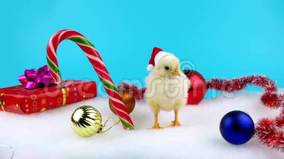 2017新年概念戴圣诞帽的黄公鸡视频的预览图