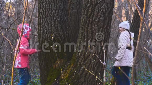 森林里的女孩围着树跑视频的预览图