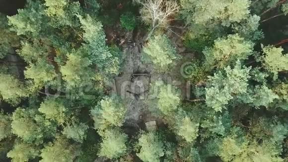 空中观景台飞过美丽的森林树木空中摄影机拍摄景观全景露营的空中景色视频的预览图